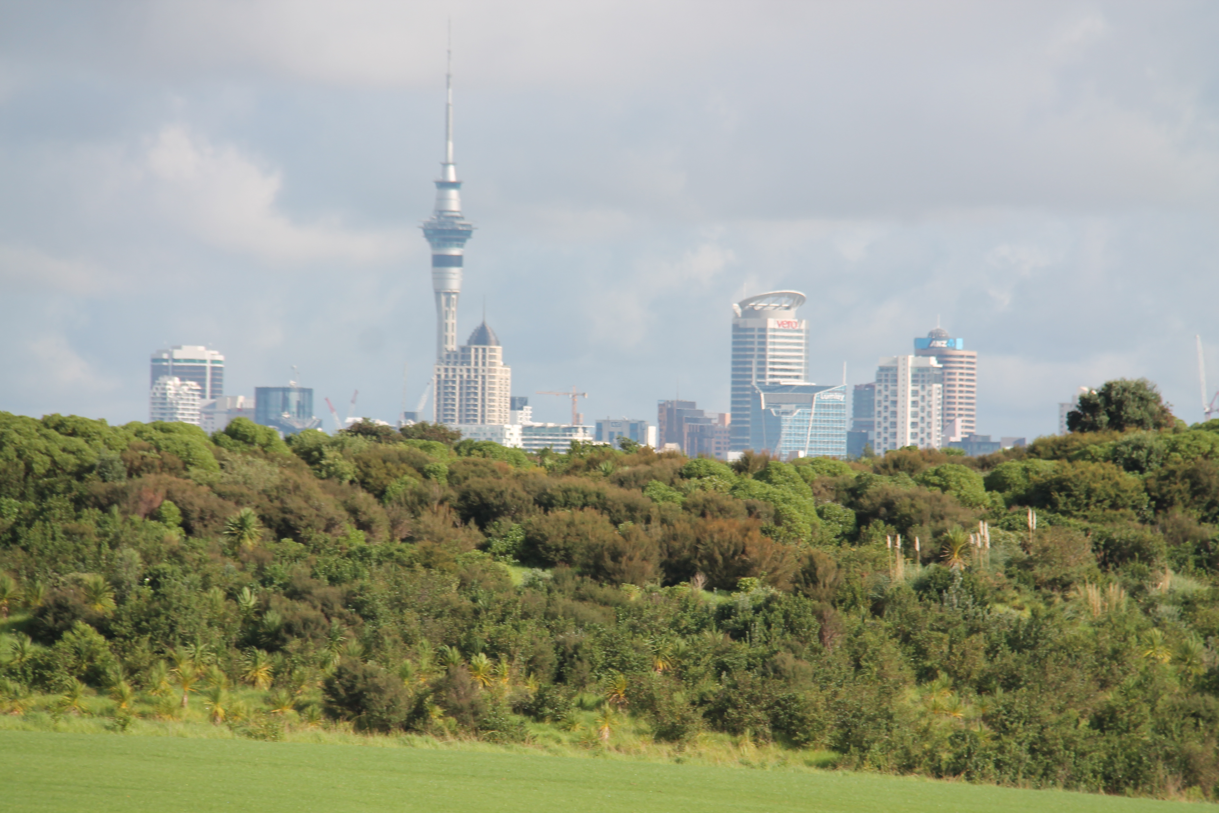 Auckland, New Zealand on May 14th